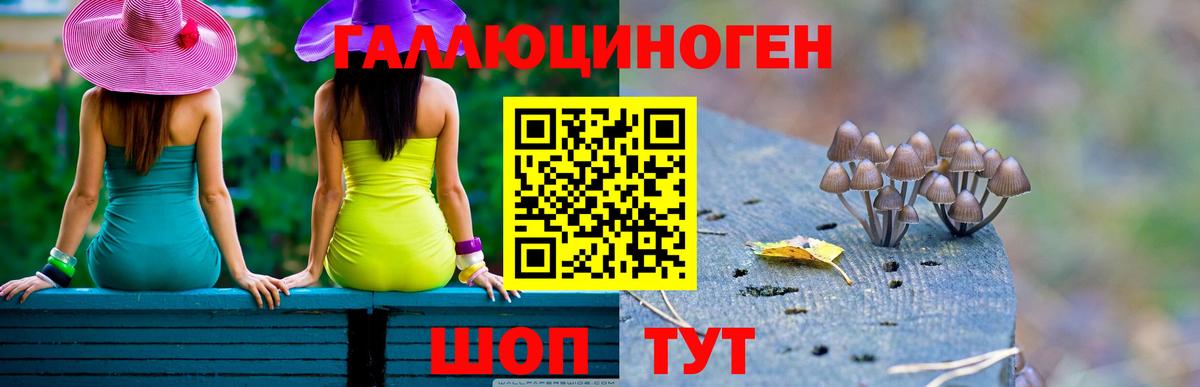 Галлюциногенные грибы Psilocybine cubensis  Вход с VPN  Псилоцибиновые грибы Psilocybine cubensis  Губаха 